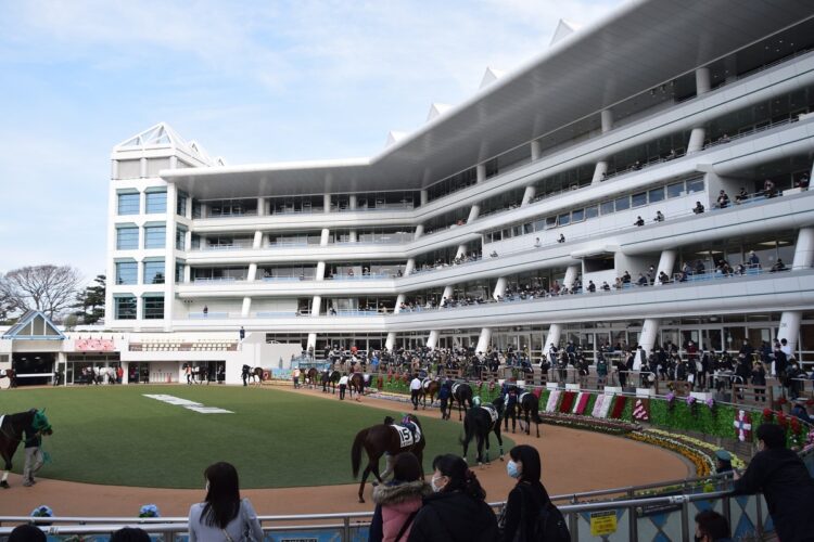 中山競馬場のパドック