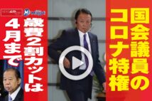 動画 二階幹事長が着用して話題 自民党マスク の正体 Newsポストセブン