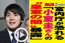 【動画】宮内庁が恐れる「小室圭さんの“皇室の闇”暴露」