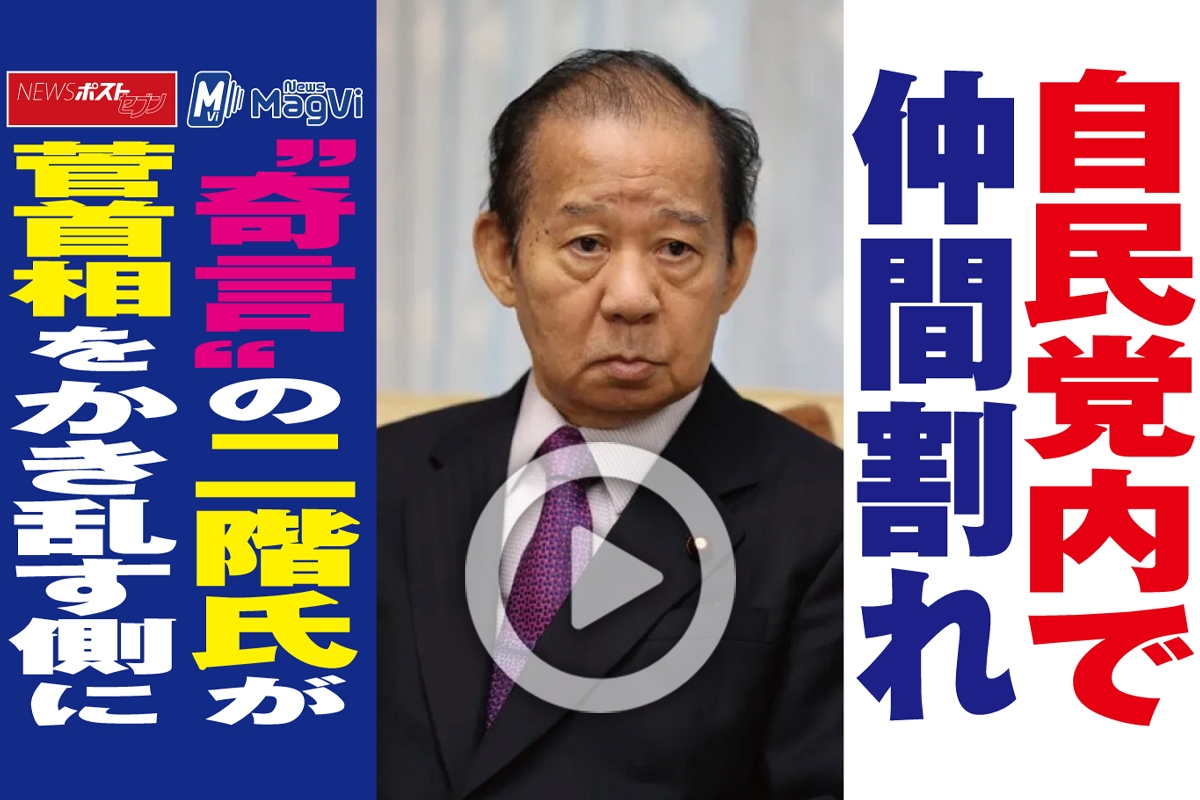 動画 自民党内で仲間割れ 奇言 の二階氏が菅首相をかき乱す側に Newsポストセブン