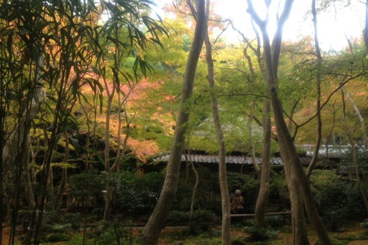 嵯峨野の祇王寺（筆者撮影）