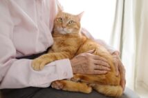 ペットが長生きになったことで浮上する飼い主との“老老介護”問題