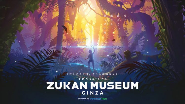 デジタル体験型施設「ZUKAN MUSEUM GINZA」が東急プラザ銀座6階にオープン