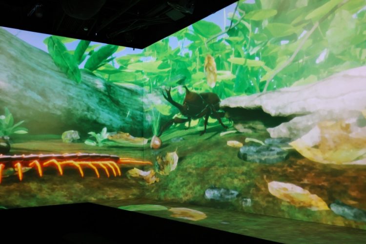 「アリの視点」で雑木林の中を体感できるZUKAN MUSEUM