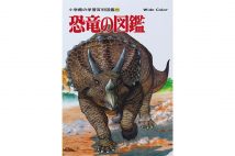 たんぽぽ 川村エミコとtenga社長の交際が発覚 Newsポストセブン