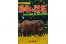 たんぽぽ 川村エミコとtenga社長の交際が発覚 Newsポストセブン