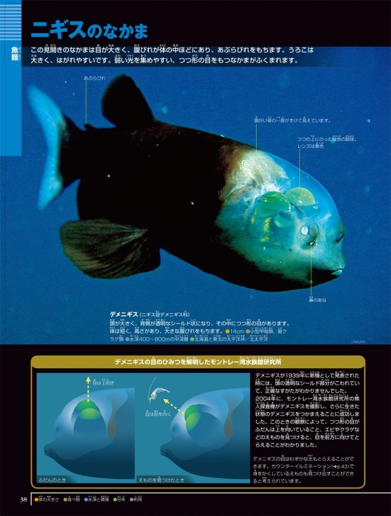 図鑑の制作は最低3年必要 研究や撮影技術の飛躍的進歩で内容にも厚み Newsポストセブン