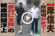 【動画】岸信夫・防衛相が杖で…「歩行に支障」の健康問題浮上　