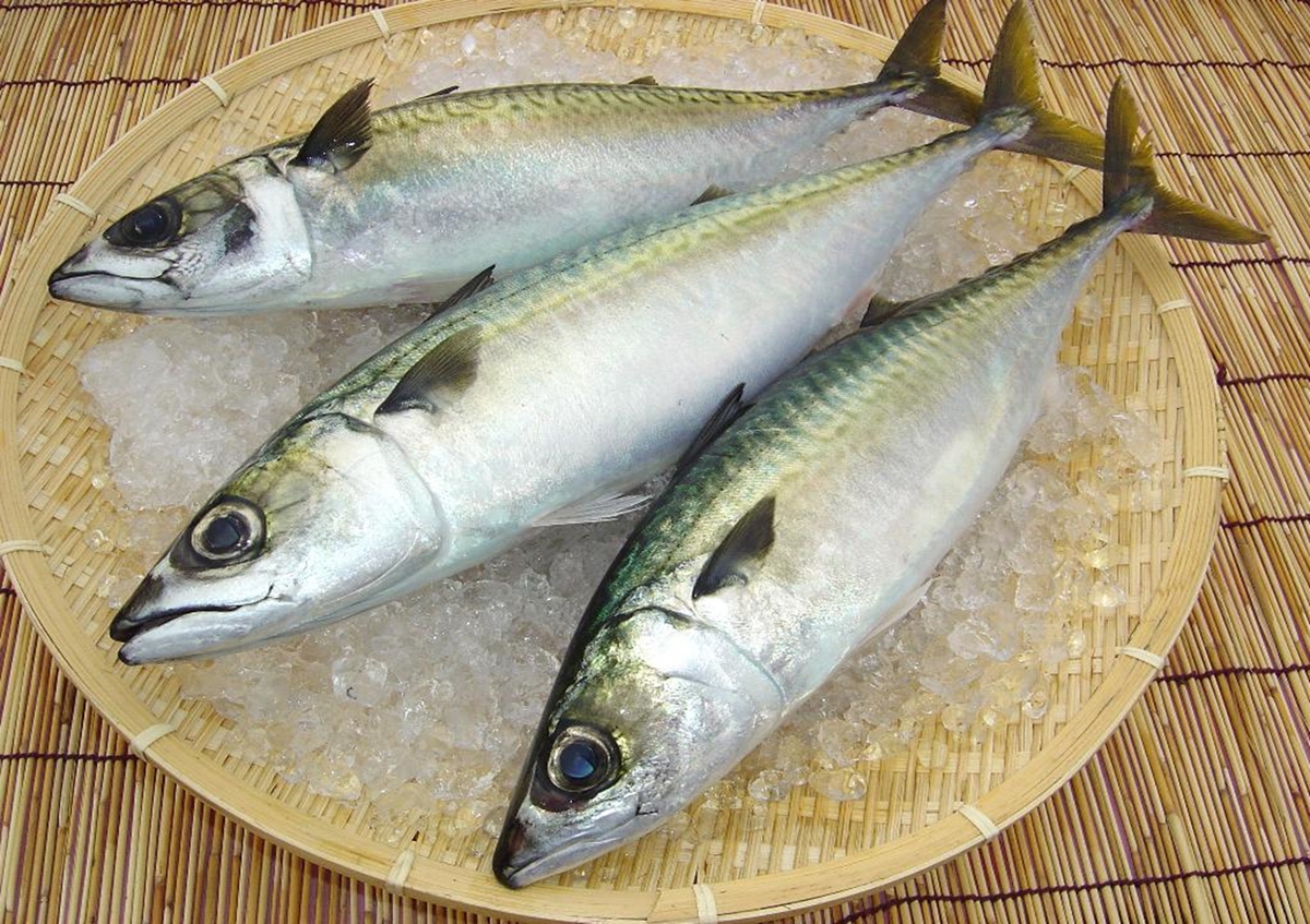 Epaやdha多く 長生き効果期待できる青魚 缶詰の旬は製造日で見分ける Newsポストセブン