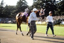 1985年10月27日、大観衆が見つめる東京競馬場のパドックでの