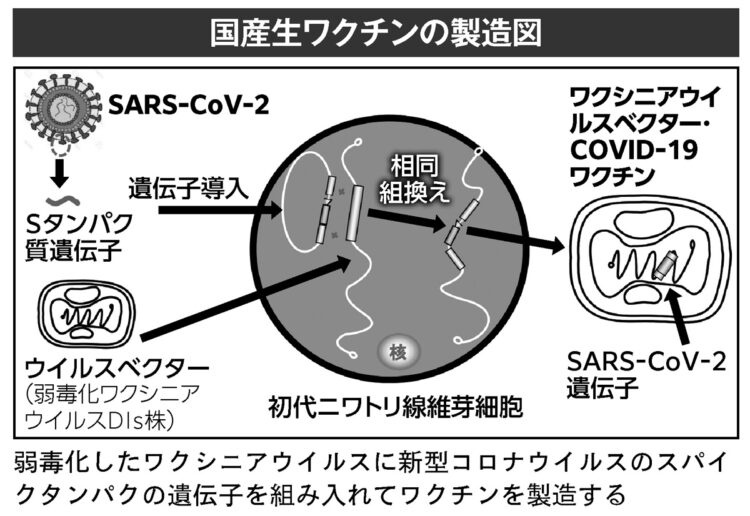 国産生ワクチンの製造図