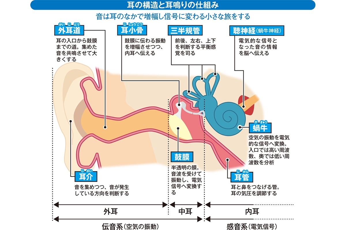 完全にゼロになる状態はない 耳鳴り 食生活や運動で9割程度まで抑えられる Newsポストセブン