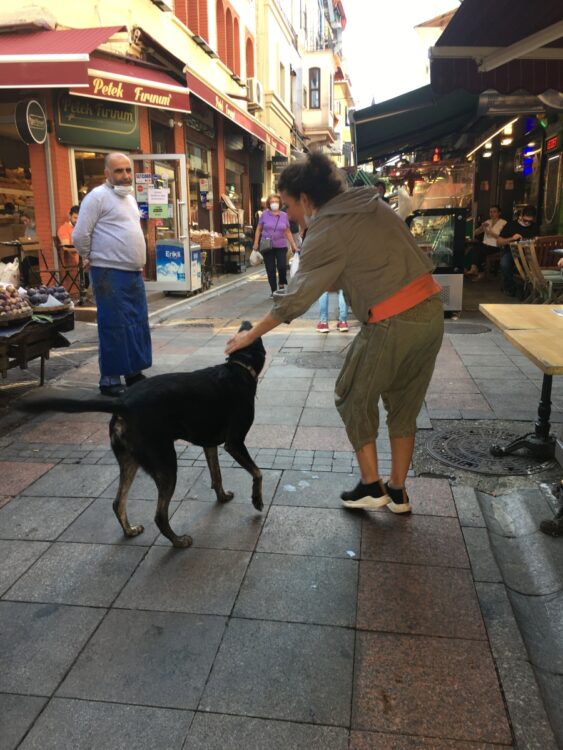 野良犬の里親になった女性。