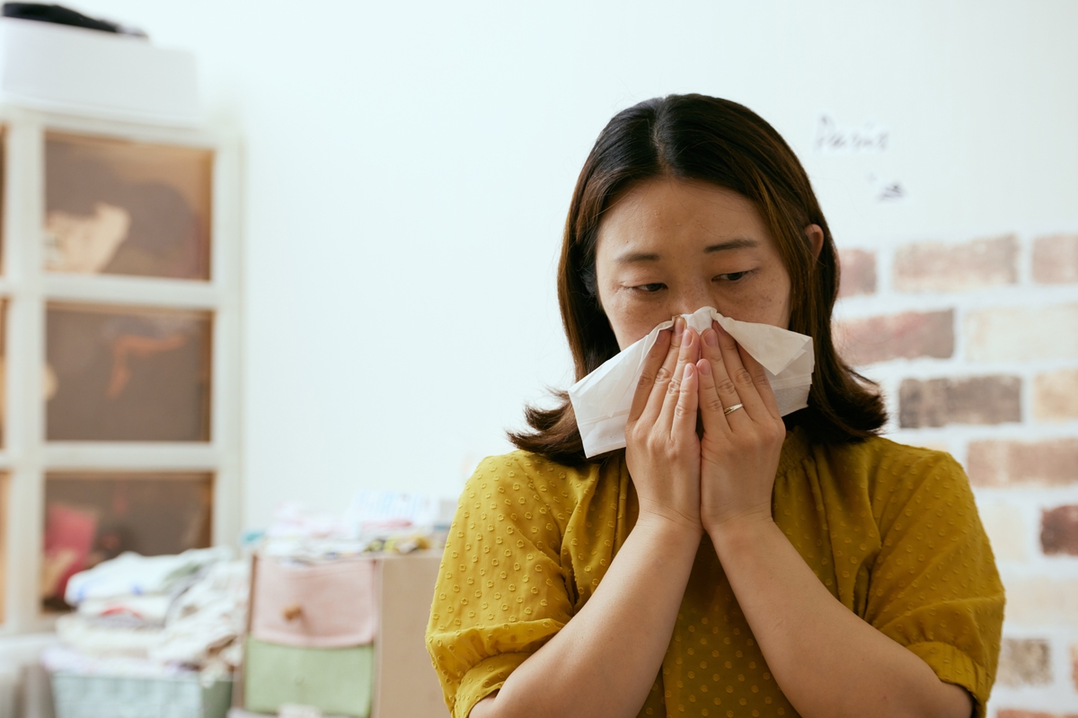 花粉 オファー 症 新薬 テープ