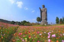 大仏写真家が選ぶ「インパクトのある大仏」ランキング15　季節によって変わる姿も魅力