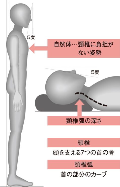 体に負担が少ない姿勢を寝る時にも