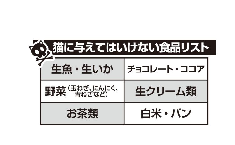 猫に与えてはいけない食品リスト