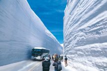 標高2450メートルにある観光名所「雪の大谷」