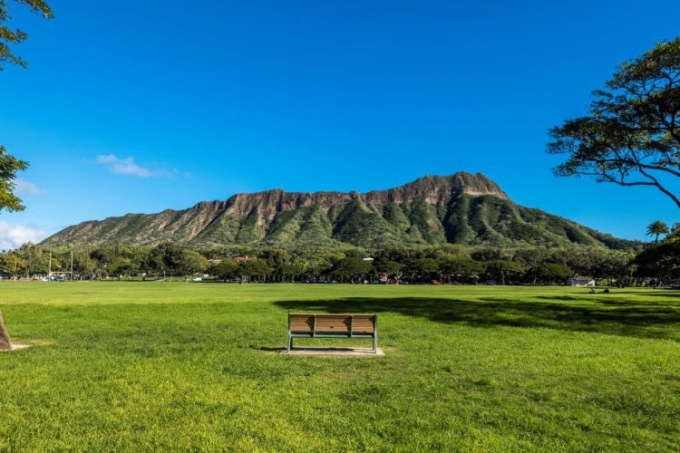 会場には、マキさんが「My favorite place」という、ダイヤモンドヘッドを一望できるカピオラニ公園のベンチを再現したスポットも。