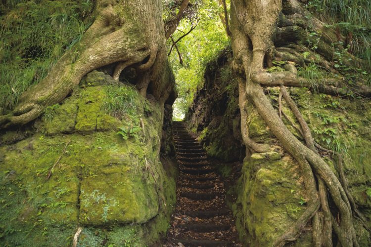 「異世界の扉を開く神秘のパワースポット」泉津の切通し（東京都／写真＝AFLO）