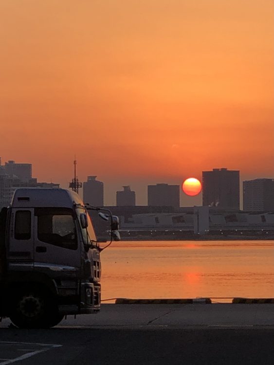 昨春、中西が撮影した日の出の瞬間。ビルのすき間から顔を出した太陽が、辺り一面を赤く染めていく。下は、散歩ルートの１つである浜離宮の朝は、生き物の宝庫（C）中西圭三