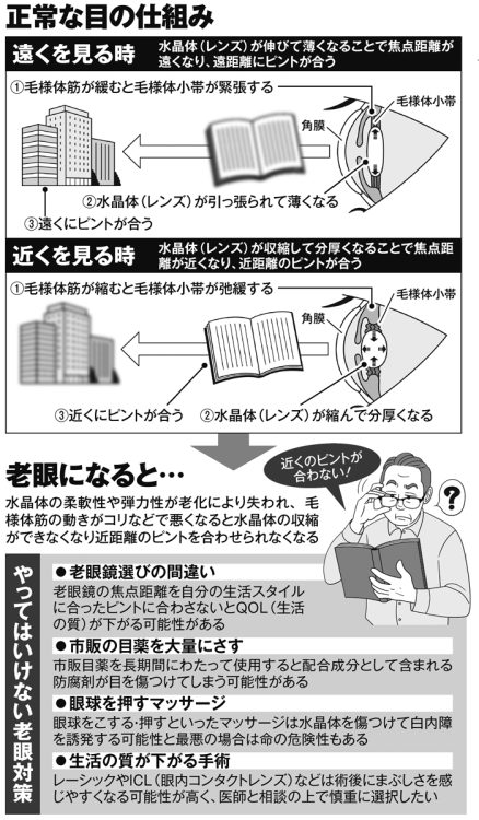 正常な目の仕組み、やってはいけない老眼対策