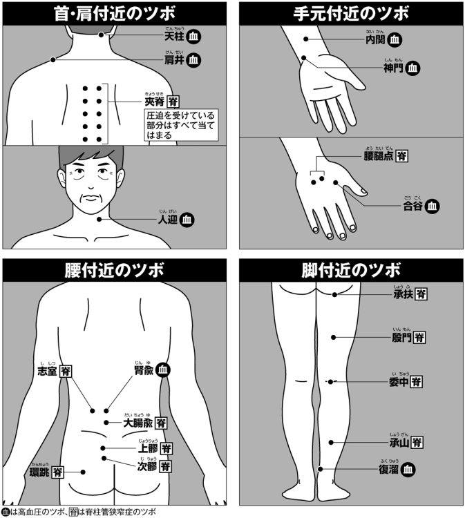 首・肩付近／手元付近／腰付近／脚付近のツボ