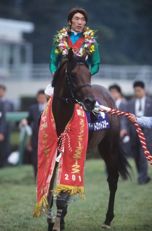 トロットスターは34戦8勝。蛯名正義騎手は重賞4勝全ての手綱をとった（写真／JRA）