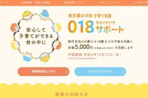 「恐ろしく面倒くさい！」18歳以下に年6万円支給、東京都の「018サポート」を申請してみた　手続き時に直面する「3つの難所」とは？