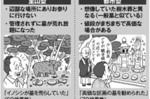 安価な“里山型”の樹木葬で注意すべき大自然ゆえのトラブル　「イノシシが遺骨を食べていた」「山が荒れて埋葬場所が分からない」