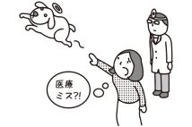 「歯石除去のために預けた動物病院で愛犬が亡くなった」　医療ミスだと認めない病院に慰謝料を請求できるのか