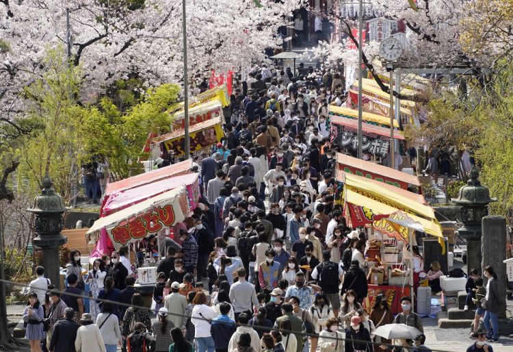 全国の桜まつりも露天が並び、多くの人でにぎわう（イメージ、時事通信フォト）
