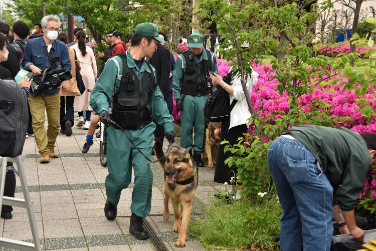 補選最終日、乙武陣営の街頭演説直前には警察犬も投入されて厳重な警戒体制が敷かれた（撮影：小川裕夫）
