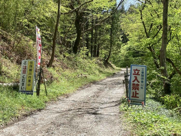 夫妻の遺体が発見された現場付近の林道。栃木県那須町（時事通信フォト）