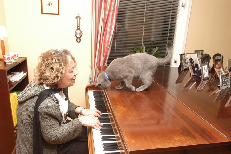 練習中に猫がピアノに飛び乗ってくると、突如「猫ふんじゃった」を弾き始めた（撮影：中嶌英雄）