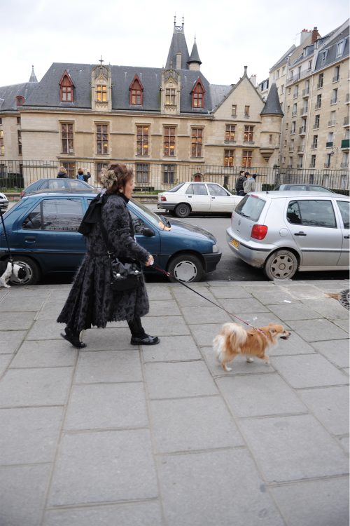 犬の散歩をするフジコさん（撮影：中嶌英雄）