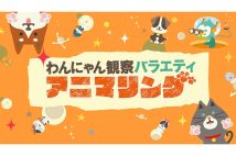 これまでにない動物バラエティとして注目を集めている『わんにゃん観察バラエティ アニマリング』（TBSの公式サイトより）