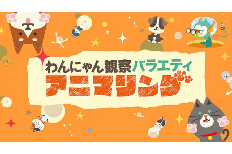 これまでにない動物バラエティとして注目を集めている『わんにゃん観察バラエティ アニマリング』（TBSの公式サイトより）