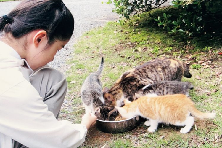 赤坂御用地内、2010年に、猫にエサを与える愛子さま