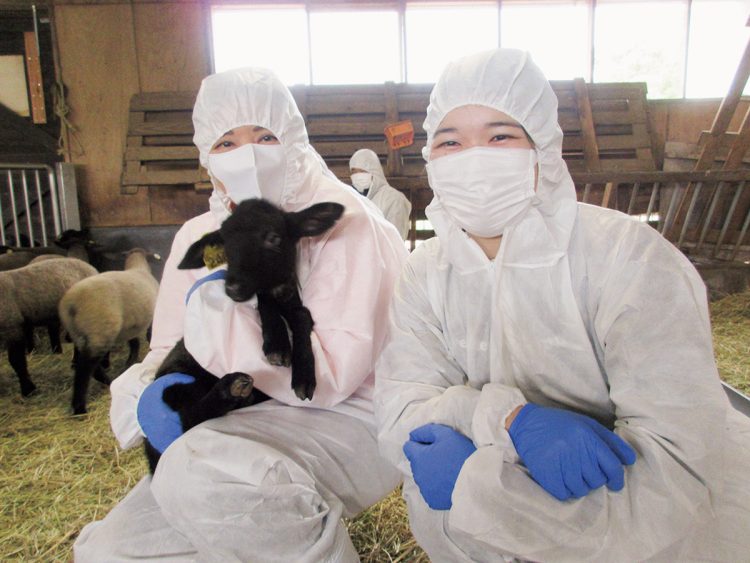 天皇陛下が愛用のカメラで撮影された一枚 （写真／宮内庁提供）