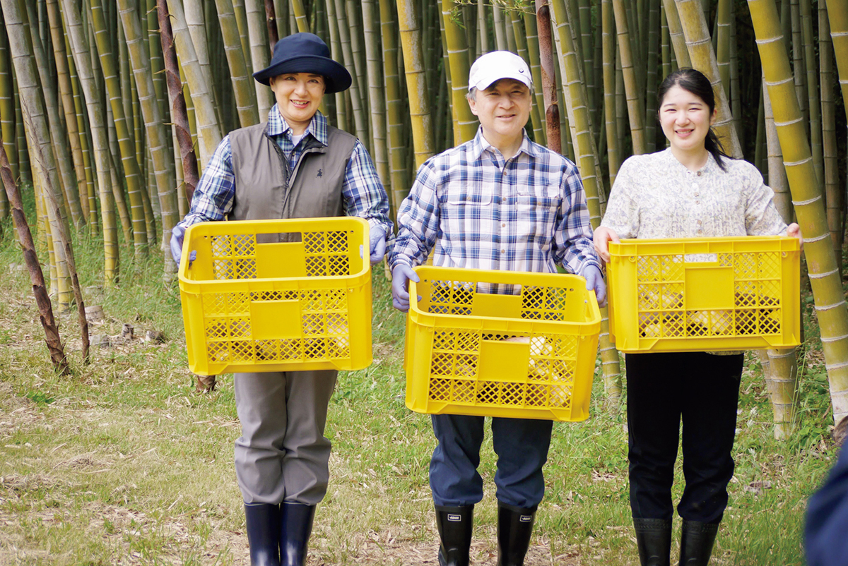 大量のタケノコを収穫された（写真／宮内庁提供） 