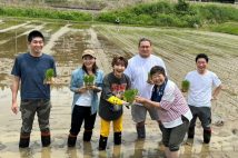 新潟県十日町市で5月30日、ブランド米「越後情話」の田植えイベントが行われた。左から、宮崎・金子夫妻、小林、豊昇龍関、オバ記者、蝦名。