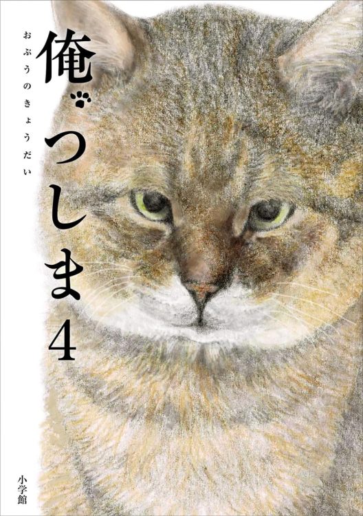 累計50万部の大ヒット猫マンガ。待ちに待った第4巻が発売に（『俺、つしま4』／おぷうのきょうだい／小学館）