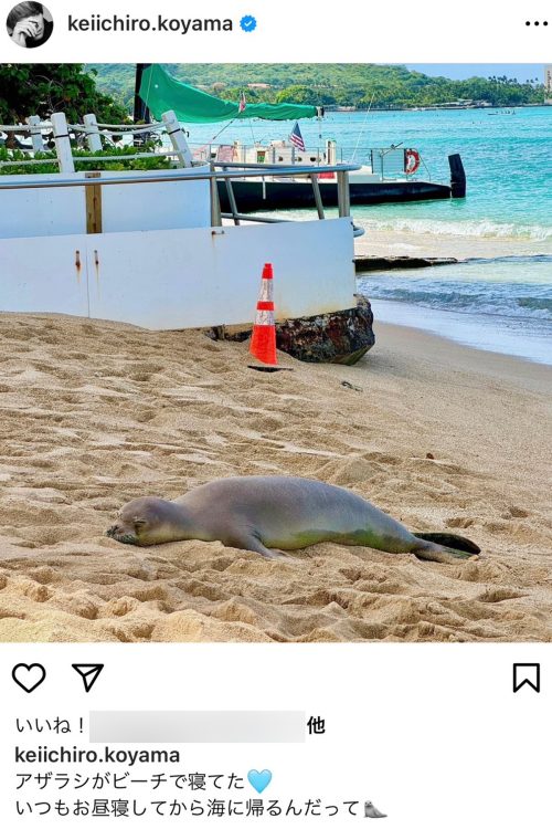 ビーチで寝ているアザラシ(Instagramより)