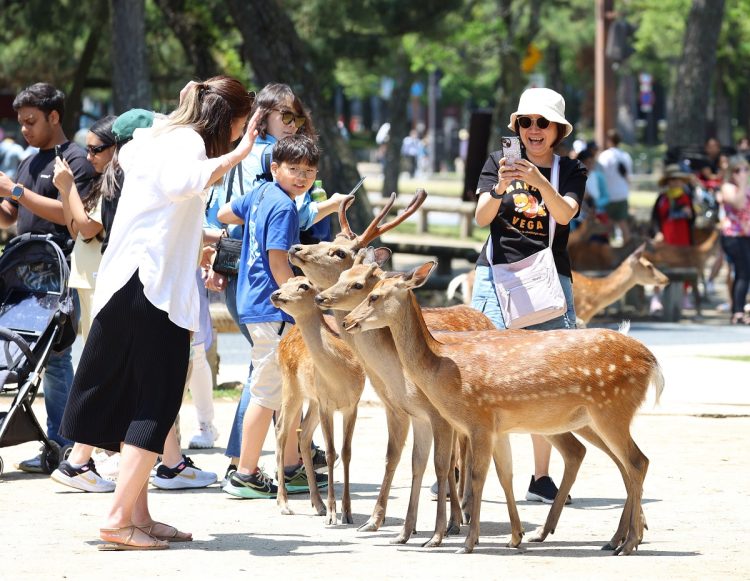 日本らしさを満喫する外国人観光客（イメージ、時事通信フォト）