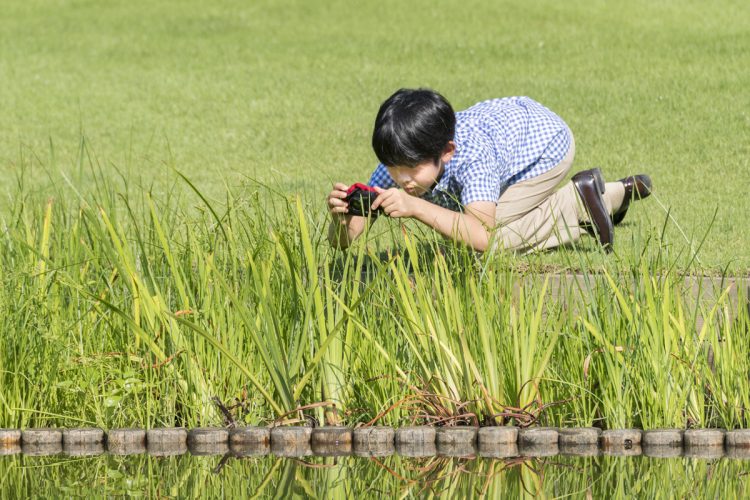 トンボの研究を始められたのは6才の頃だ（2018年8圧、東京・港区。写真／宮内庁提供）