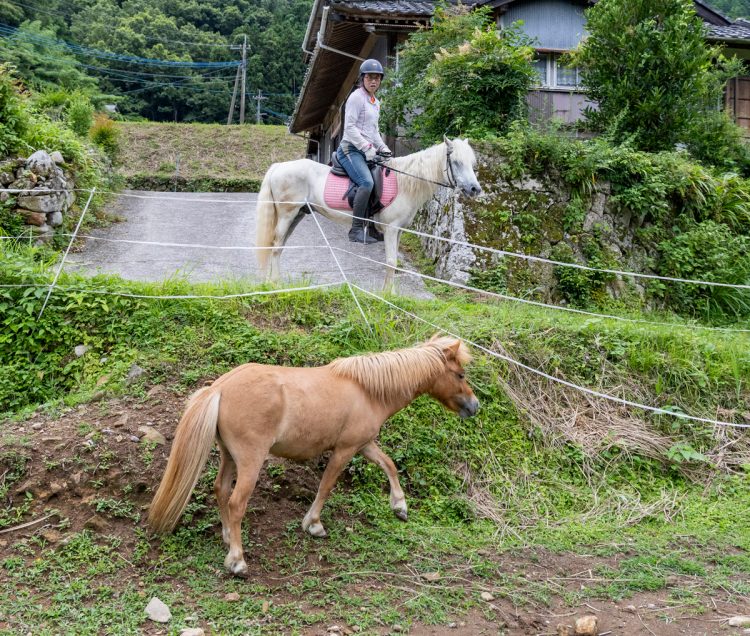 写真手前の馬がエウロパ。馬は“軽車両”なので、どこにでも乗っていける