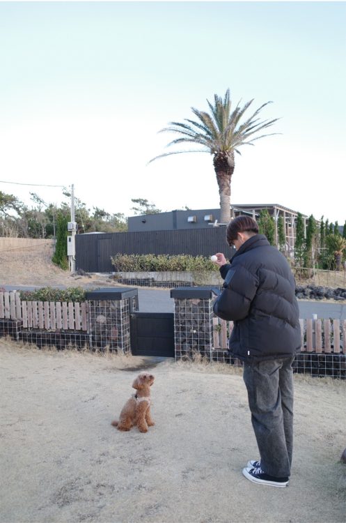 突如投稿された佐野容疑者と愛犬のツーショット