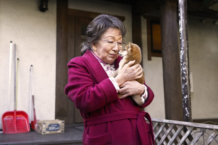 愛子（草笛さん）とハチが出会うシーン。ハチ（ハナ）のエピソードは原作でも映画でも涙を誘う。（c）2024映画「九十歳。何がめでたい」製作委員会 （c）佐藤愛子／小学館