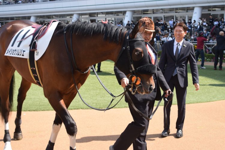 蛯名正義氏が振り返る、メイショウソムリエ勝利までの道「競馬を覚えていくのに時間がかかる馬も多いのです」